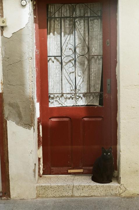 A black cat sits on a doorstep in front of a red door with a decorative metal grate and sheer curtain.