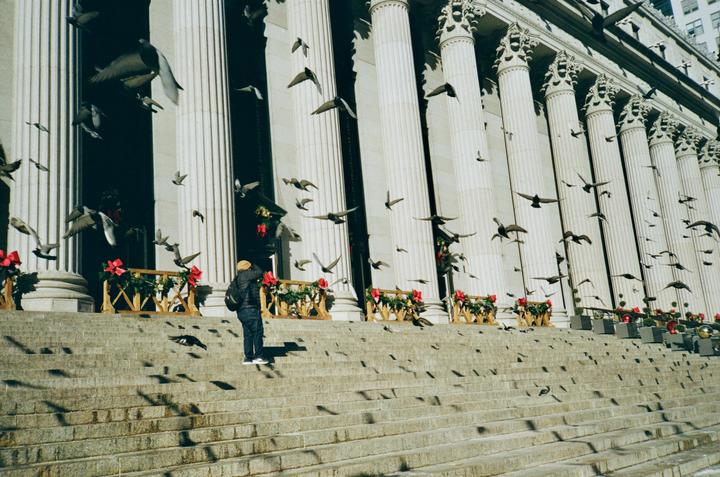 A man stands on stone steps in front of a building with large columns as many pigeons fly around him.