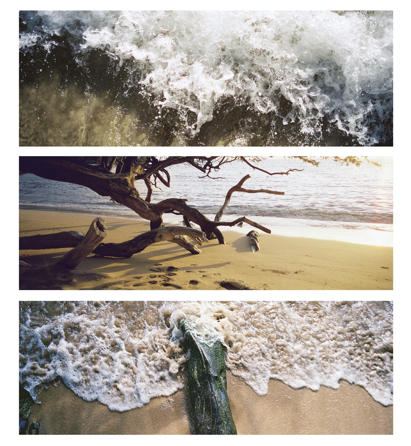 Three horizontal panels show a beach with a tree and waves.