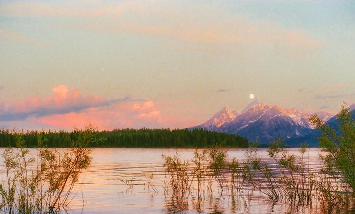 A full moon rises over snow-capped mountains and a forest, with a lake and plants in the foreground.
