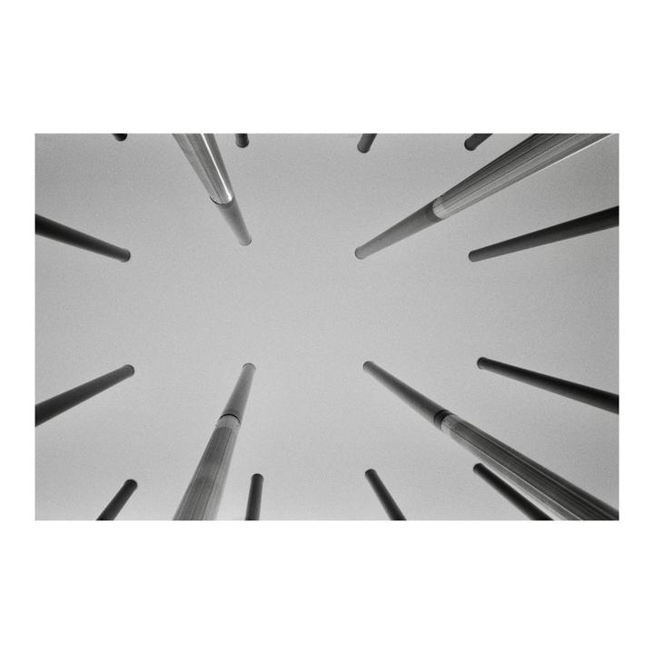 A low-angle view shows many poles pointing towards the sky.