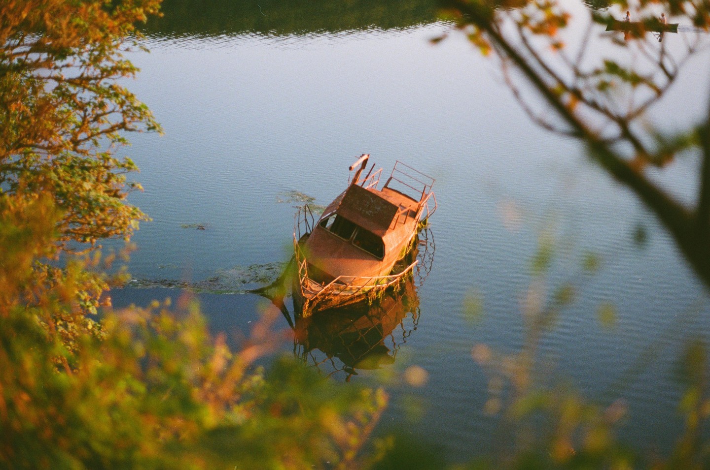 A rusty boat is partially submerged in a body of water, surrounded by green foliage.