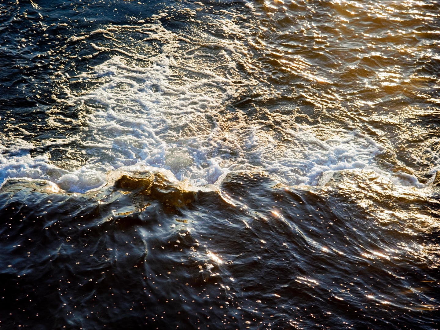 Waves crash on the surface of the water, reflecting the golden hour light.