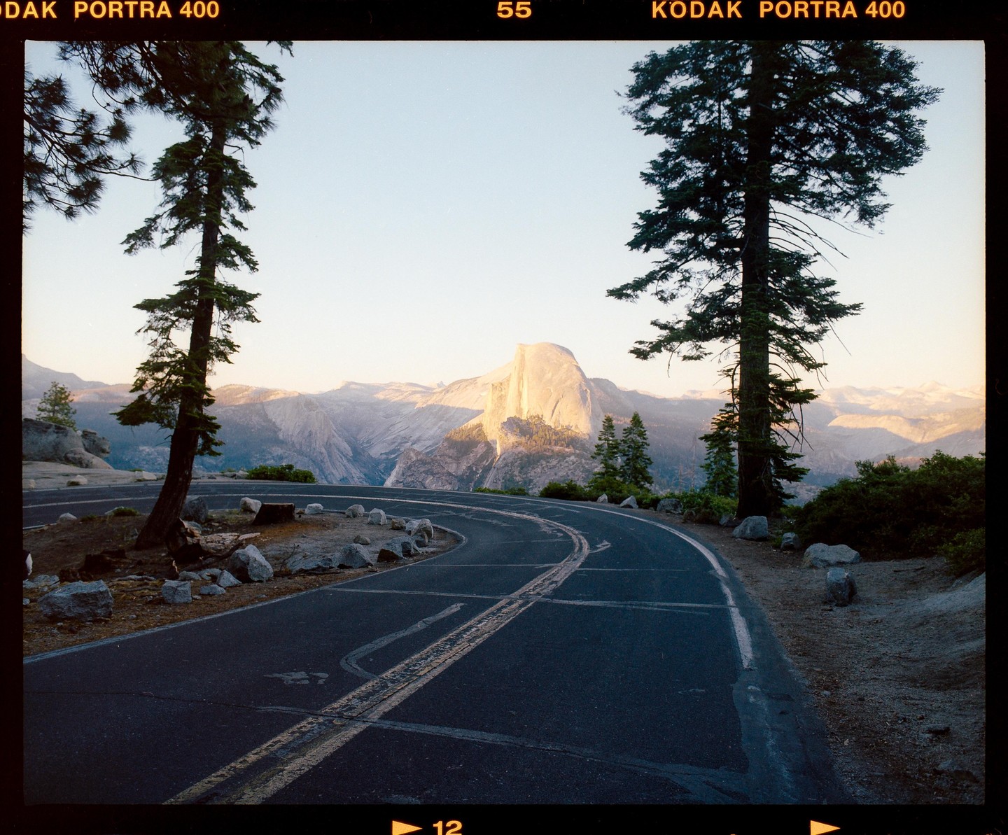 A winding road leads to a view of Half Dome in Yosemite National Park, framed by two tall pine trees.