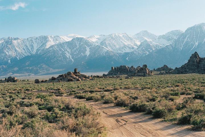 A dirt road leads through a field of scrub brush towards a range of snow-capped mountains under a clear sky.