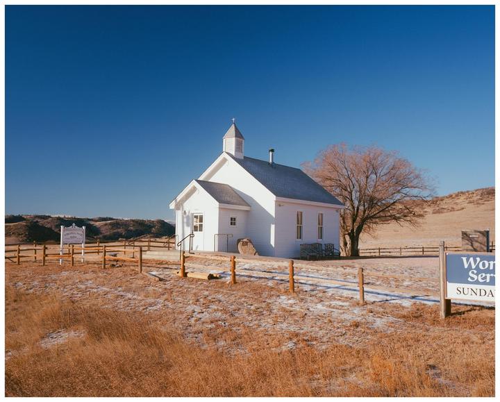 A white church with a steeple stands in a field with a bare tree under a clear blue sky.