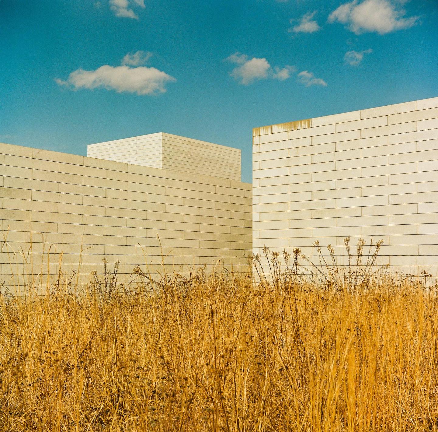 A field of dry grass is in the foreground with modern buildings and a blue sky with clouds in the background.