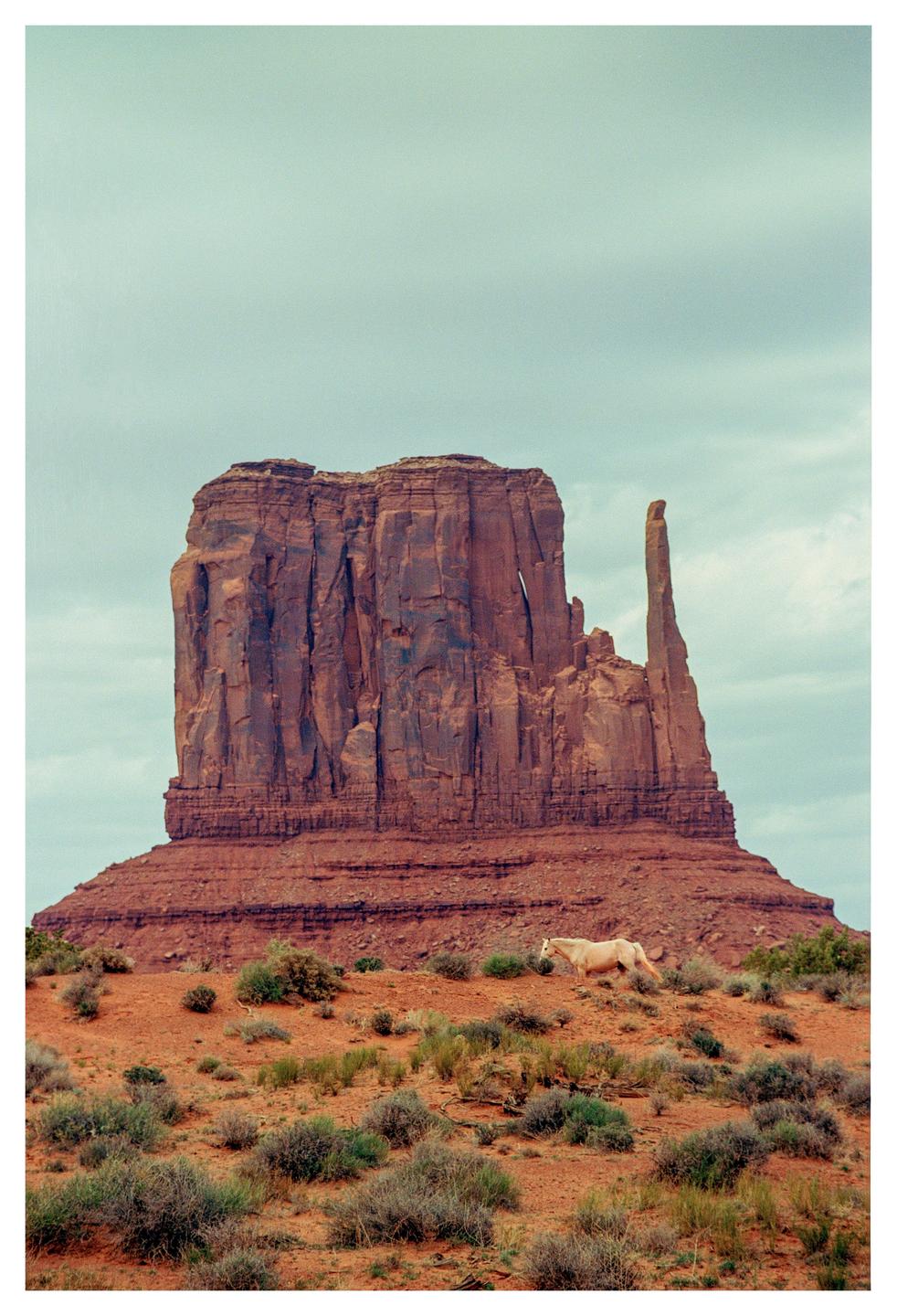 A horse stands on a desert hill with a large rock formation in the background under a cloudy sky.