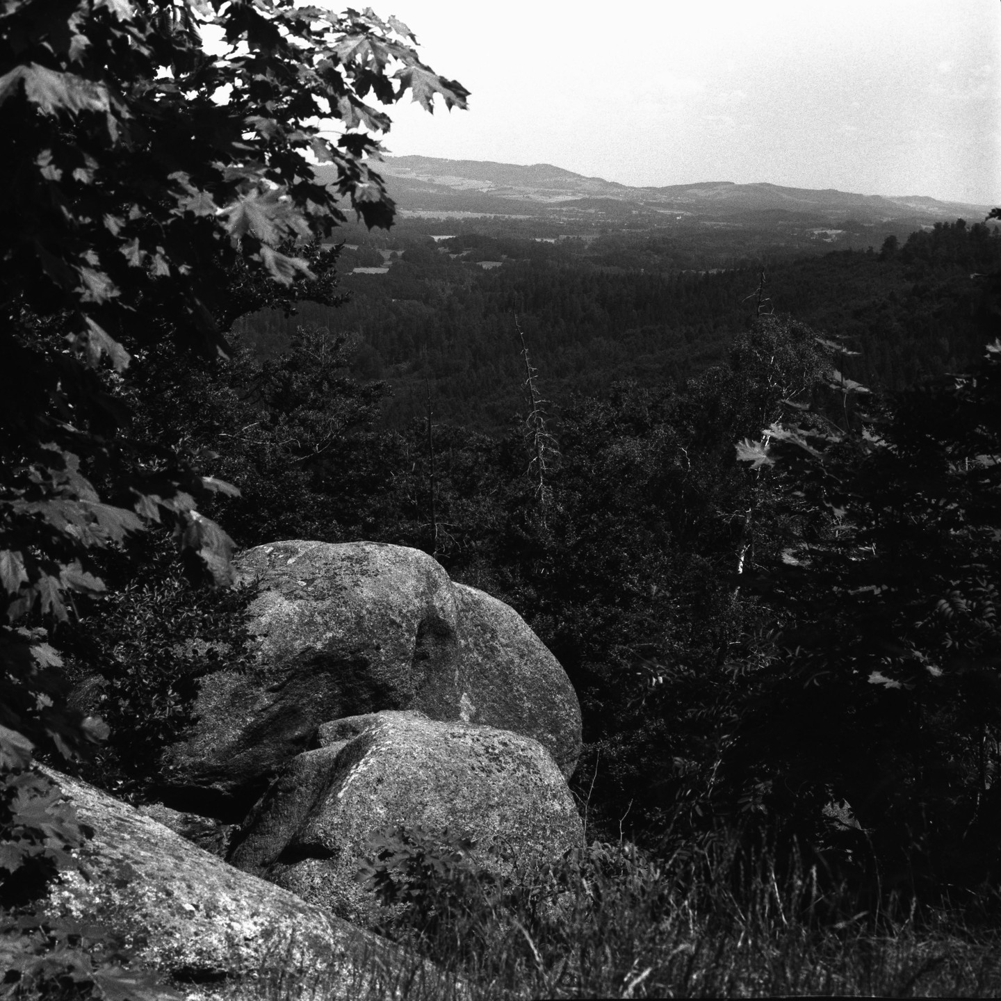 A black and white landscape shows large boulders in the foreground with a dense forest and distant hills under a bright sky.