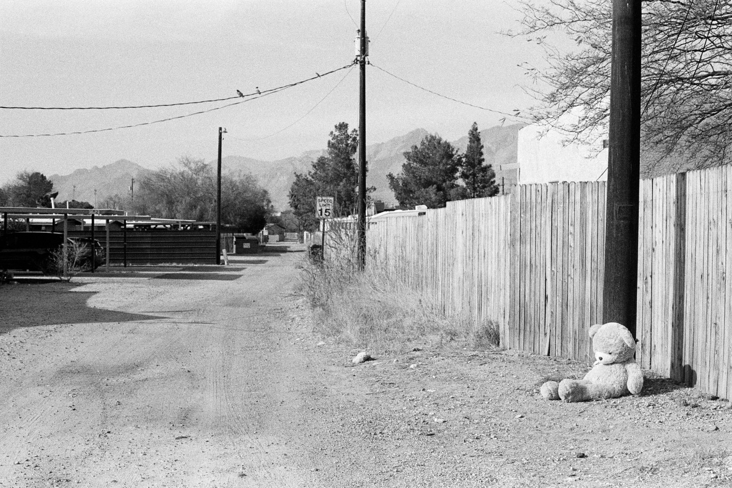 A teddy bear sits on the ground next to a wooden fence and a utility pole, with a dirt road and mountains in the background.