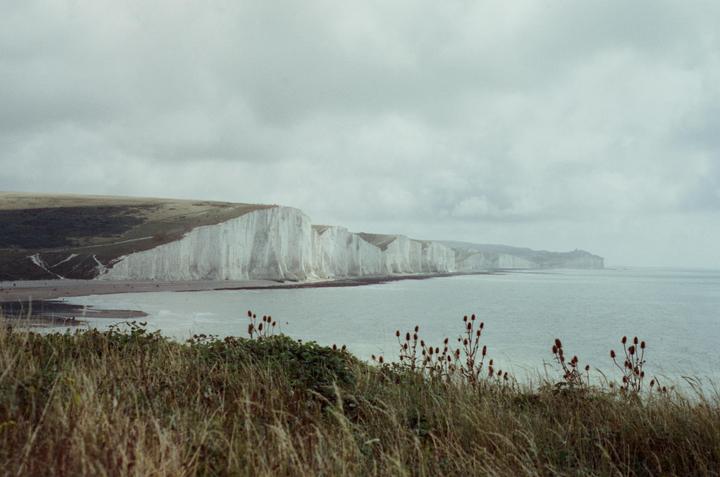 A long line of white cliffs meets the sea under a cloudy sky, with dry grass and plants in the foreground.