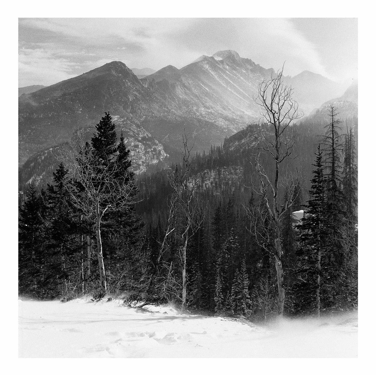 Snow blows across a field of snow with evergreen trees and mountains in the background.