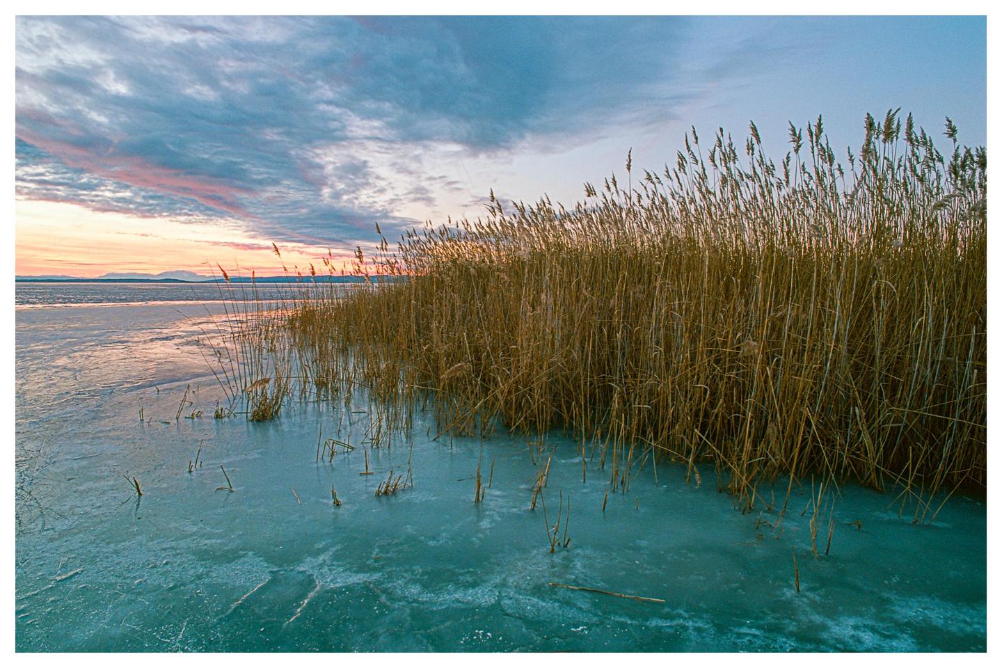 Tall reeds grow along the edge of a frozen lake under a colorful sunset sky.