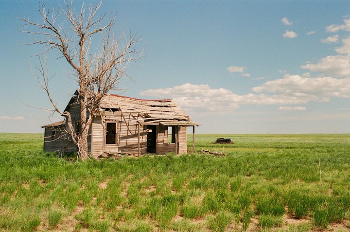 An abandoned wooden house with a collapsed roof stands next to a bare tree in a vast green field under a blue sky with clouds.