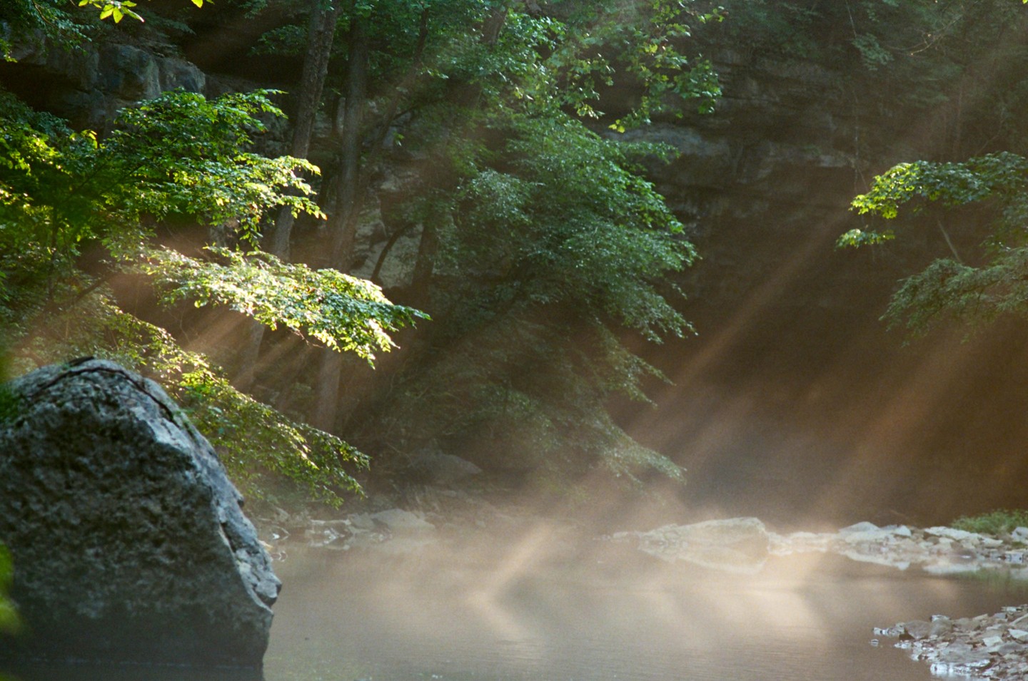 Sunlight streams through trees and mist over a river with a large rock in the foreground.