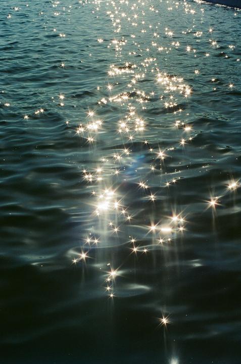 Sunlight sparkles on the surface of rippling water.