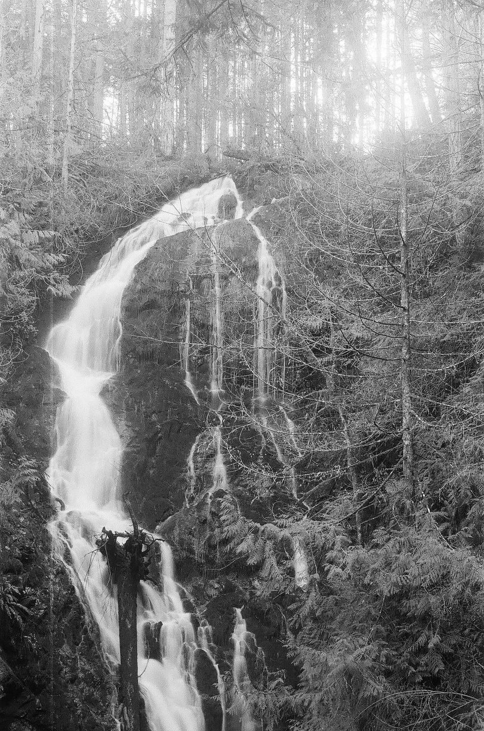 A waterfall cascades down a rocky cliff surrounded by trees in a forest.