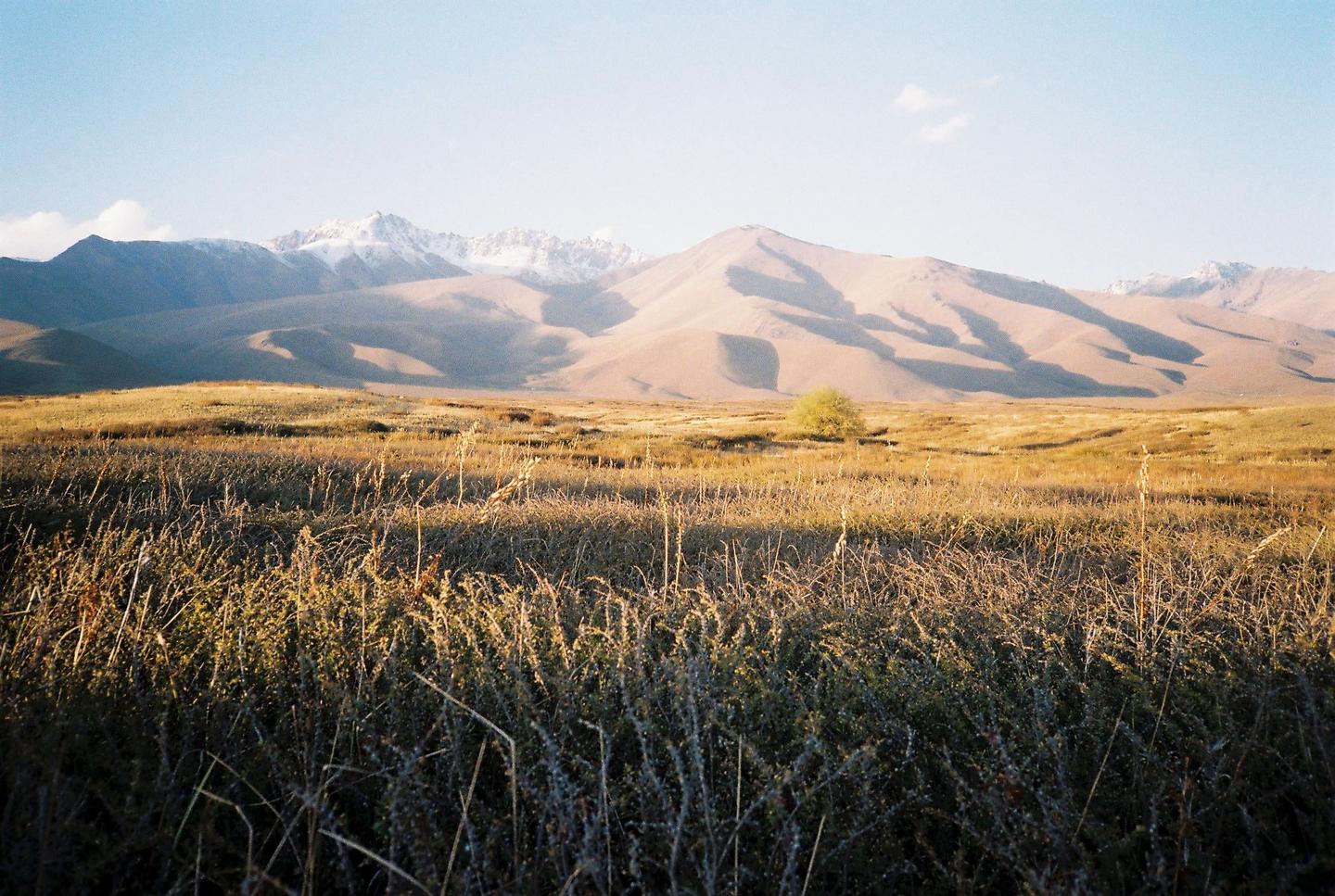 A vast field of dry grass stretches towards distant mountains, some of which are topped with snow.
