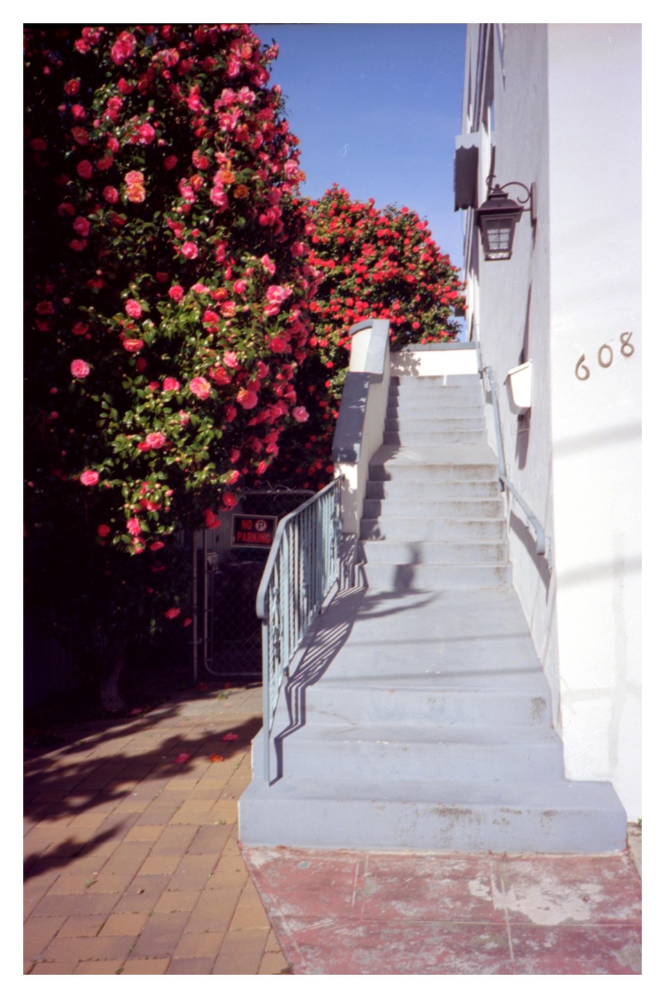A concrete staircase with a metal railing leads up to a building with the number 608, next to a large bush with pink flowers.