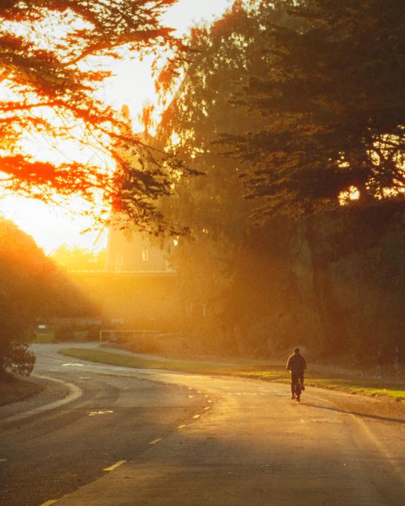 A person rides a bicycle down a winding road at sunset, with bright sunlight filtering through trees.