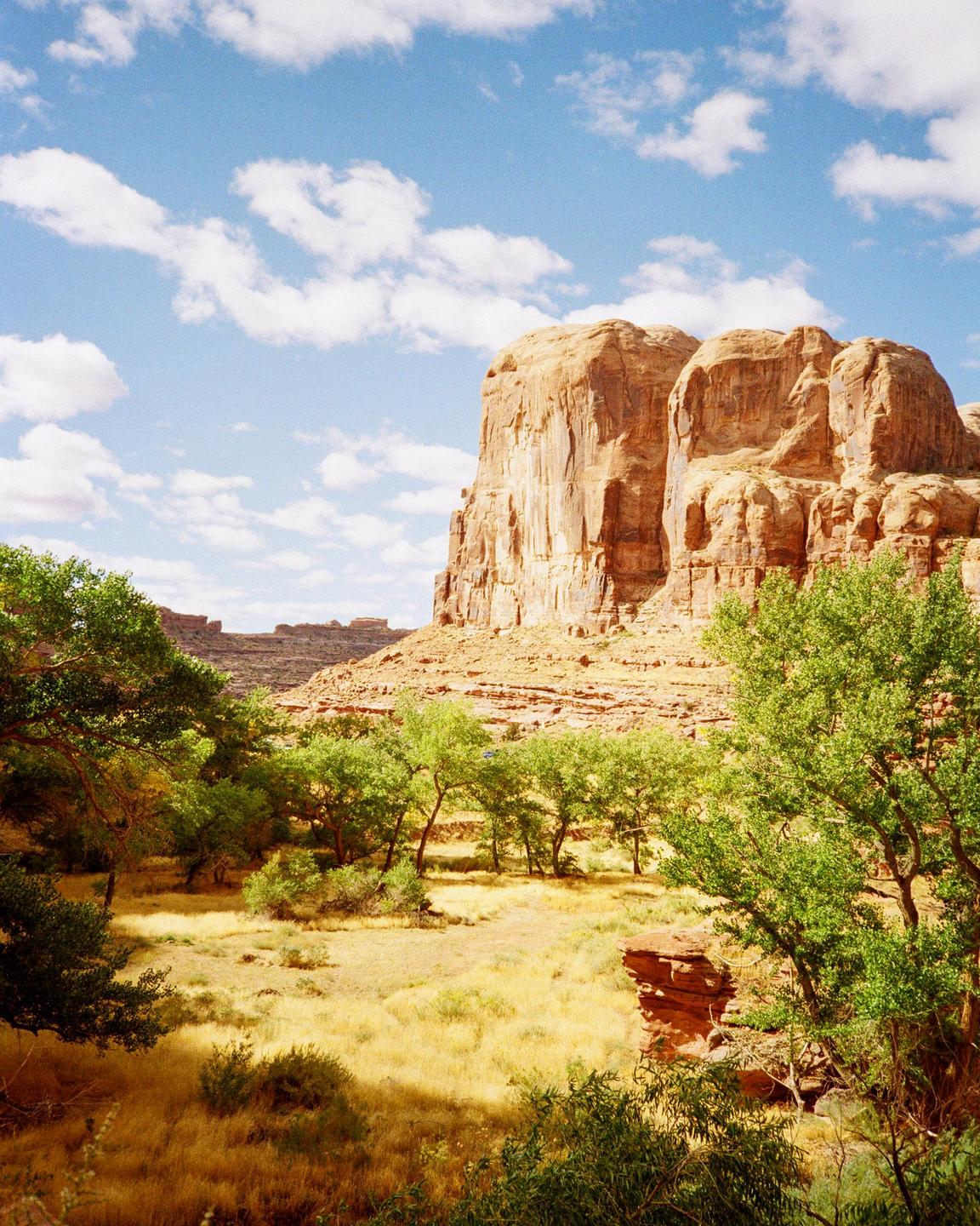 A desert landscape features a large rock formation under a blue sky with scattered clouds, with green trees and dry grass in the foreground.