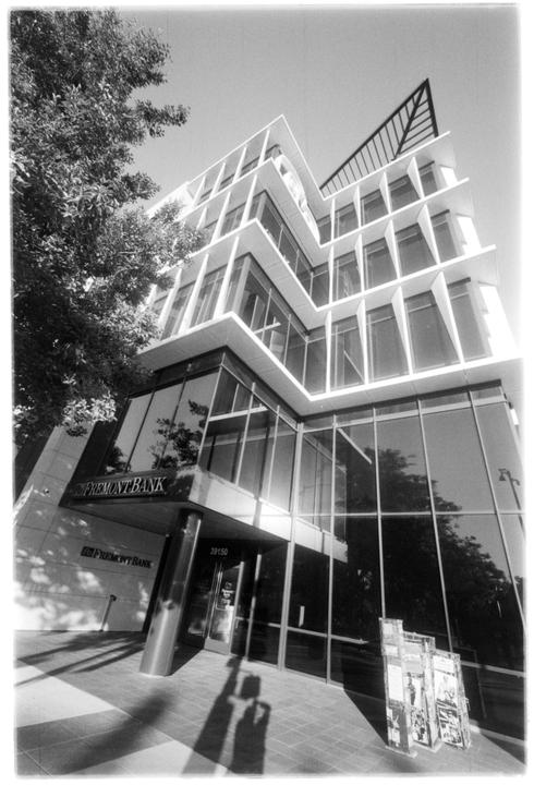 A modern building with many windows and a tree next to it is shown from a low angle.
