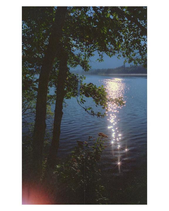 Sunlight sparkles on the surface of a lake, framed by trees and foliage in the foreground.