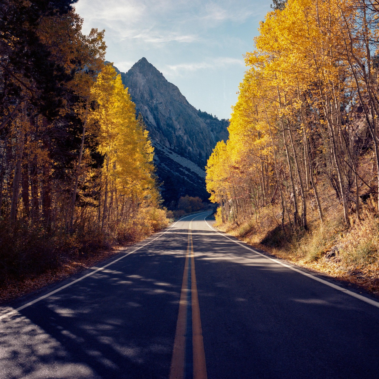 A road leads towards a mountain, flanked by trees with yellow autumn foliage.
