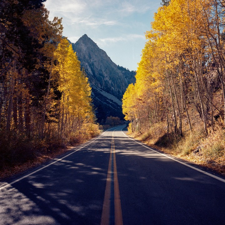 A road leads towards a mountain, flanked by trees with yellow autumn foliage.
