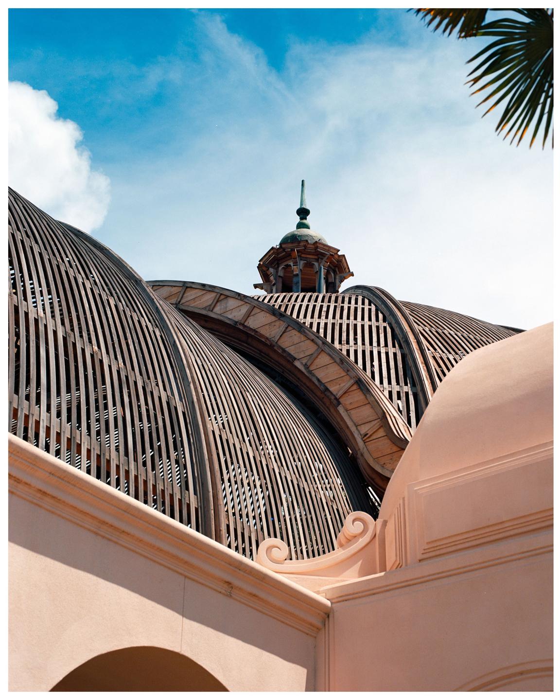 A low-angle view shows the wooden dome of a building with a cupola against a blue sky with a palm frond in the corner.