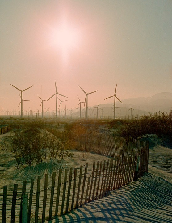 A wooden fence casts long shadows across a sandy landscape filled with numerous wind turbines under a bright, hazy sky.