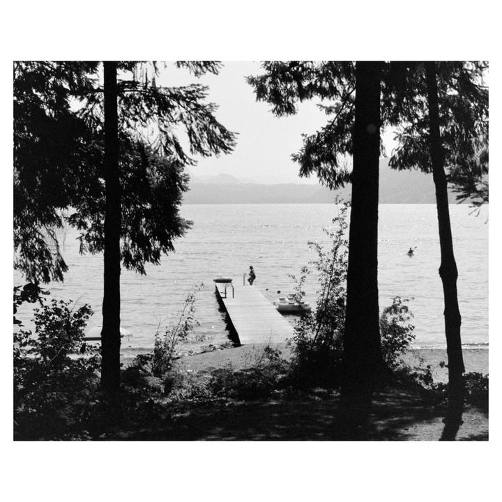 A person stands on a wooden dock extending into a lake, framed by tall trees on either side.