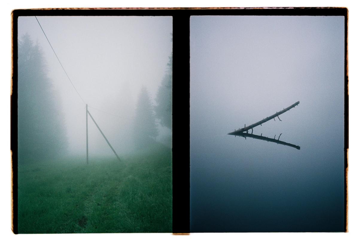 A diptych shows a foggy forest with a wooden pole on the left and a log floating in water on the right.