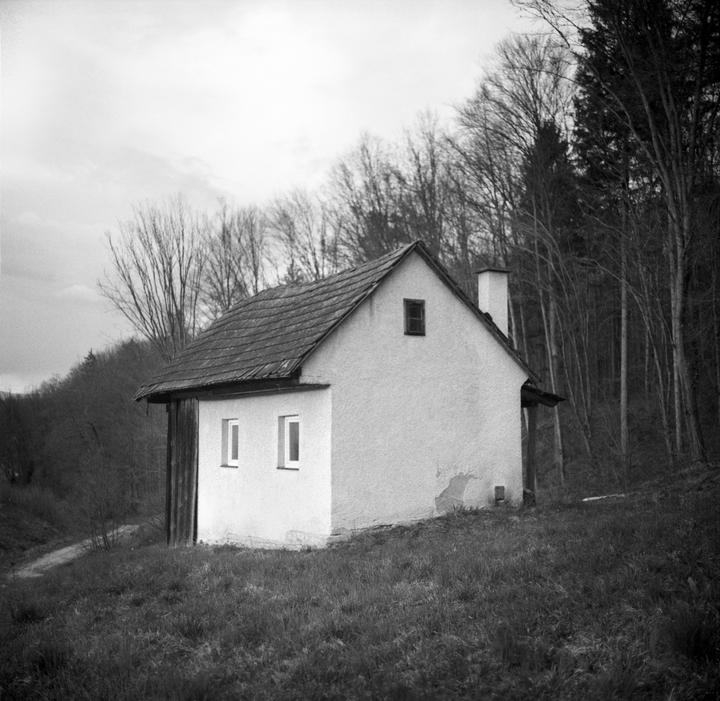 A small house with a chimney stands on a grassy hill next to a forest of bare trees.