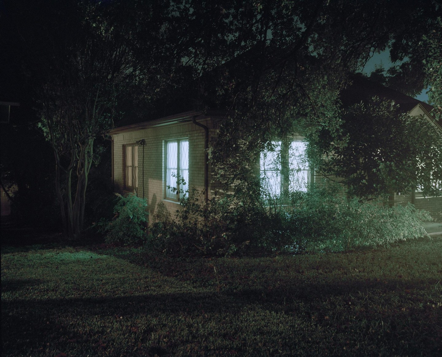 A house with illuminated windows is surrounded by trees and bushes at night.