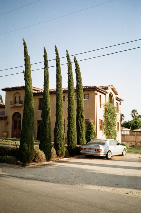 A silver car is parked in front of a large house with tall, narrow trees lining the driveway.
