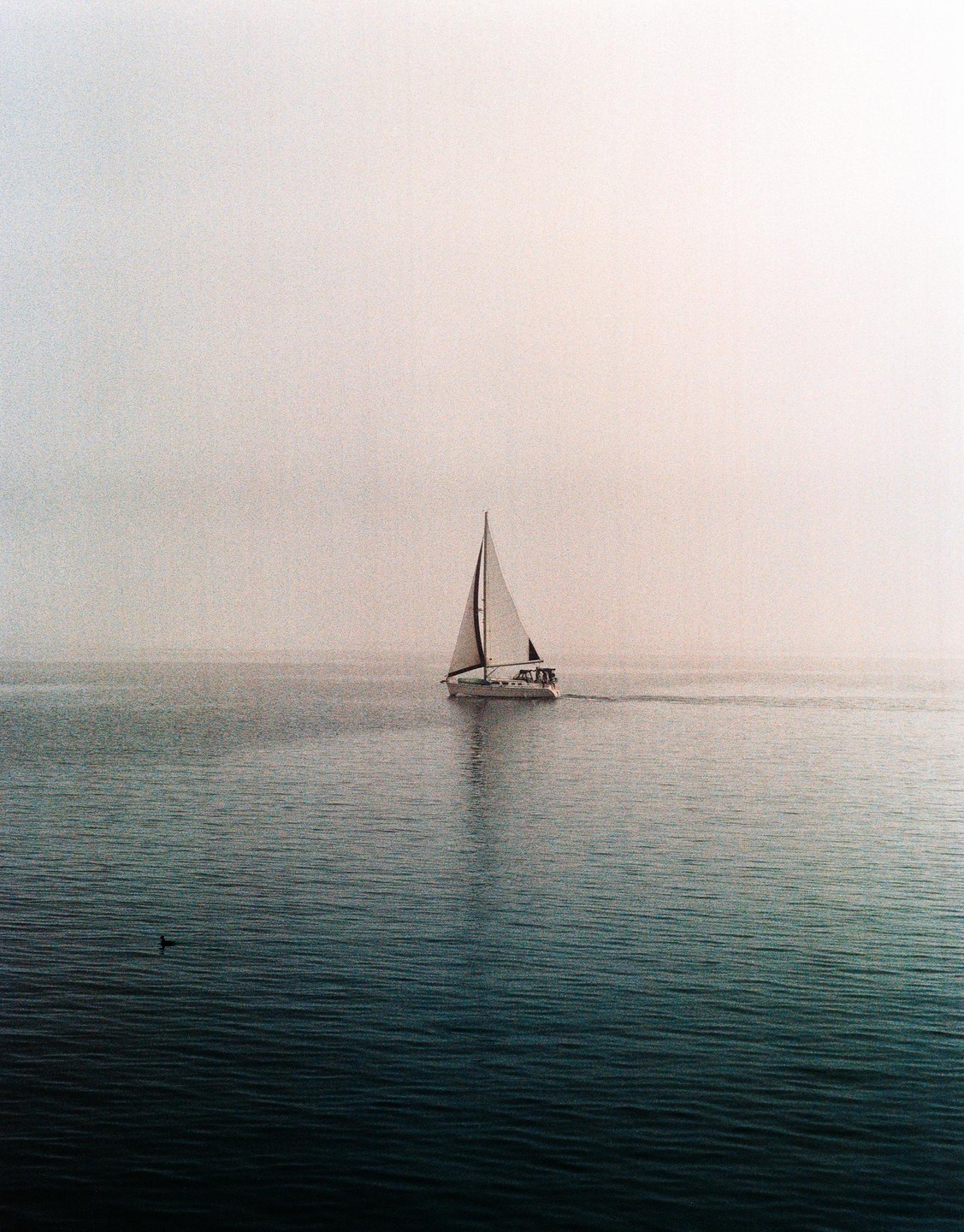 A sailboat moves across the water on a foggy day.