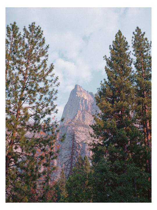A mountain peak is visible through a clearing in the pine trees.