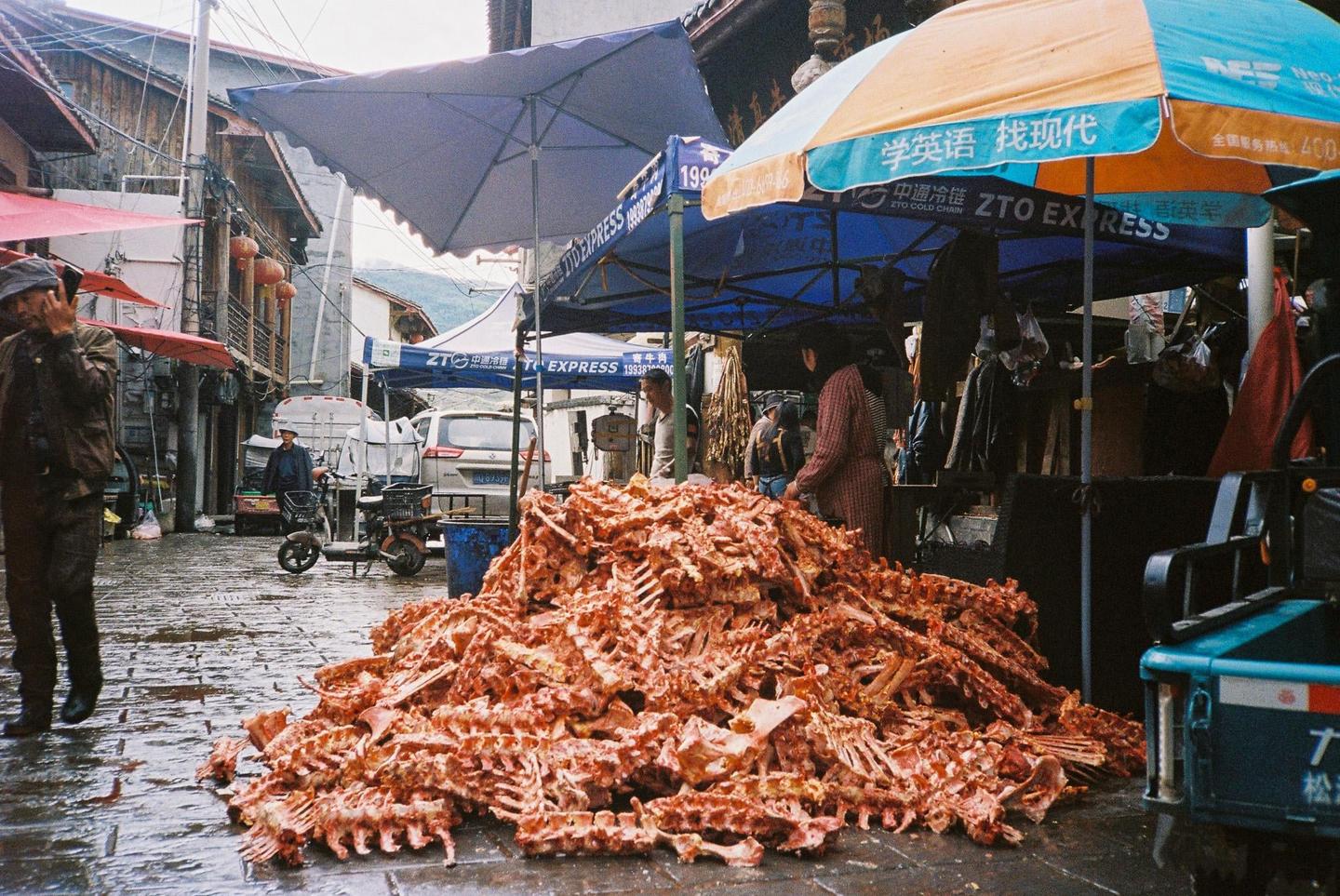 A large pile of bones sits on a wet street in a market with people and umbrellas.