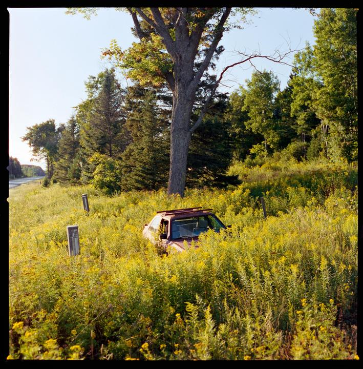 A red car is partially hidden in a field of tall yellow wildflowers next to a road and a forest.