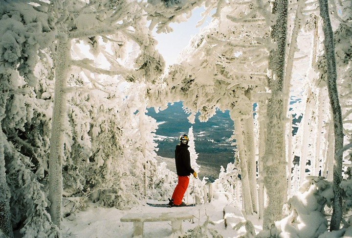 A skier stands on a snowy mountain, framed by snow-covered trees, looking out at a valley.