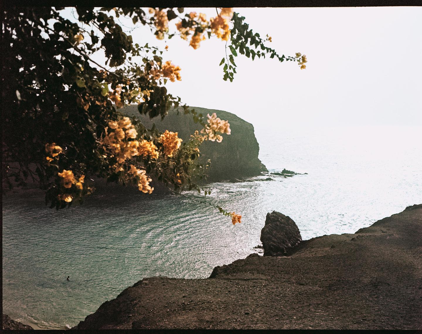A person swims in a cove surrounded by cliffs and flowering branches.