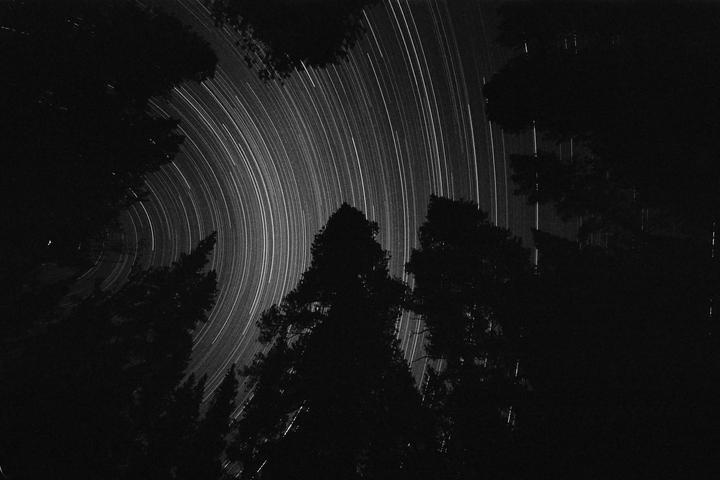 Star trails arc across the night sky above silhouetted trees.