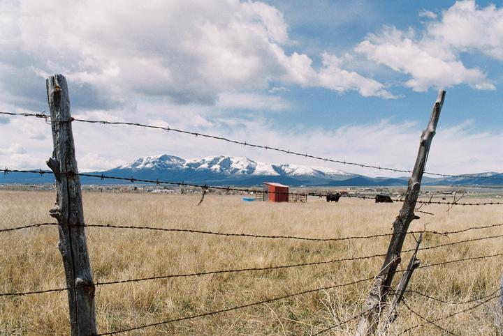 A barbed wire fence stands in the foreground of a field with a red shed and cattle, with snow-capped mountains under a cloudy sky in the distance.