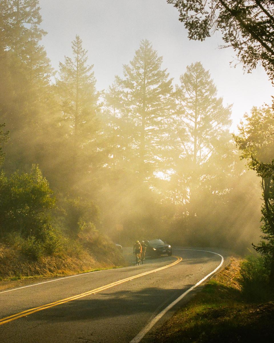 Two cyclists ride on a winding road through a forest as a car approaches them in the hazy morning light.