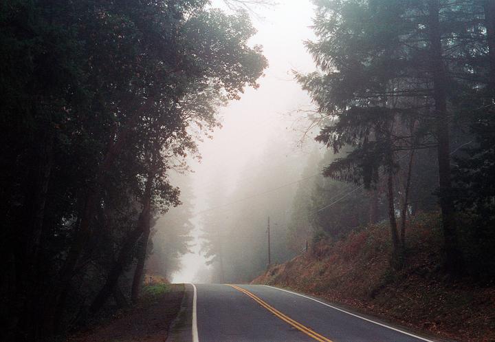 A winding road disappears into a thick fog, flanked by tall trees and a grassy hillside.