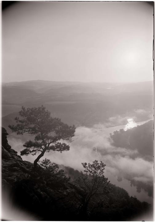 A lone tree grows on a rocky cliff overlooking a river and valley filled with fog.