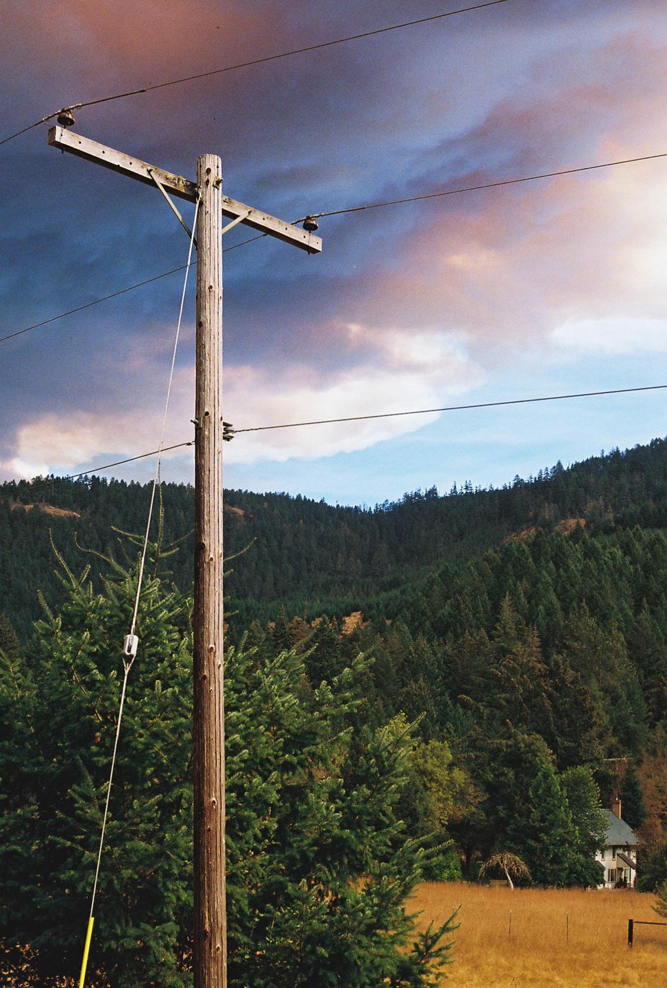 A wooden utility pole stands in the foreground with a dense forest, a field, and a house in the background under a dramatic sky.
