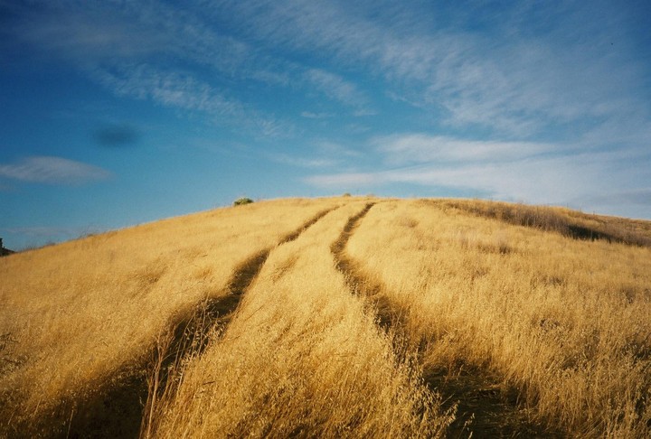 Two tire tracks cut through a golden grassy hill under a blue sky with wispy clouds.
