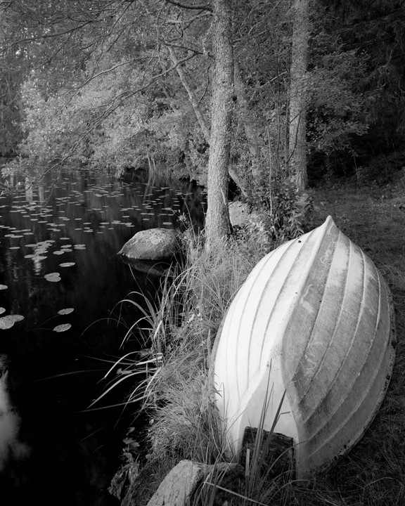 An overturned boat rests on the grassy bank of a pond with lily pads and trees.
